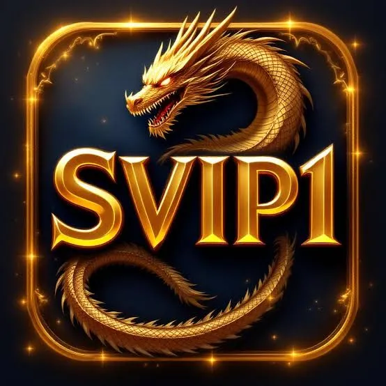 Review Aplikasi svip1